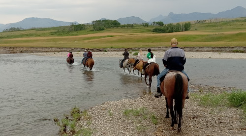 Horse ride