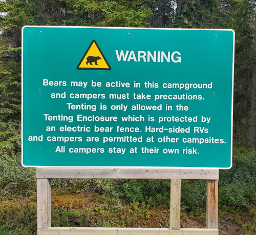 Bear warning sign