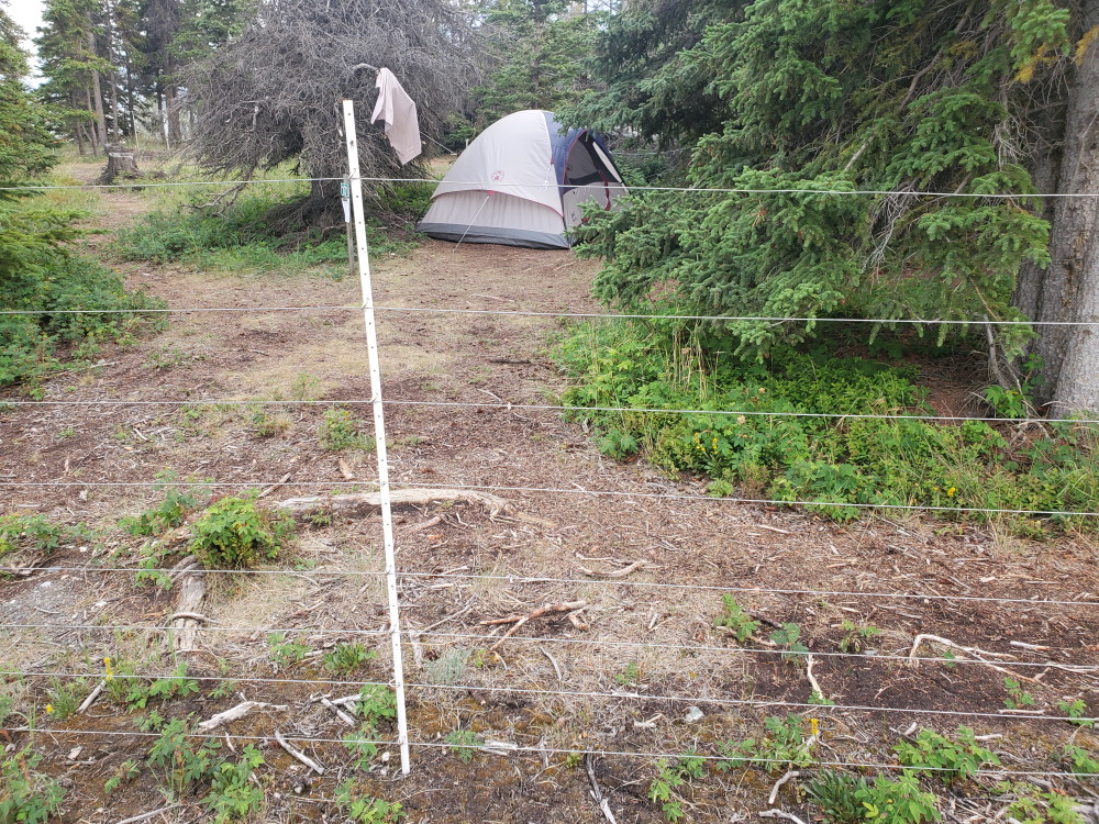 Tent in fence