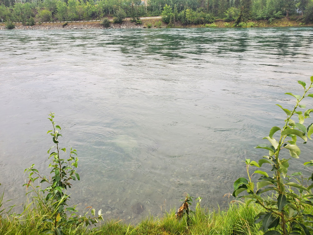 Yukon River